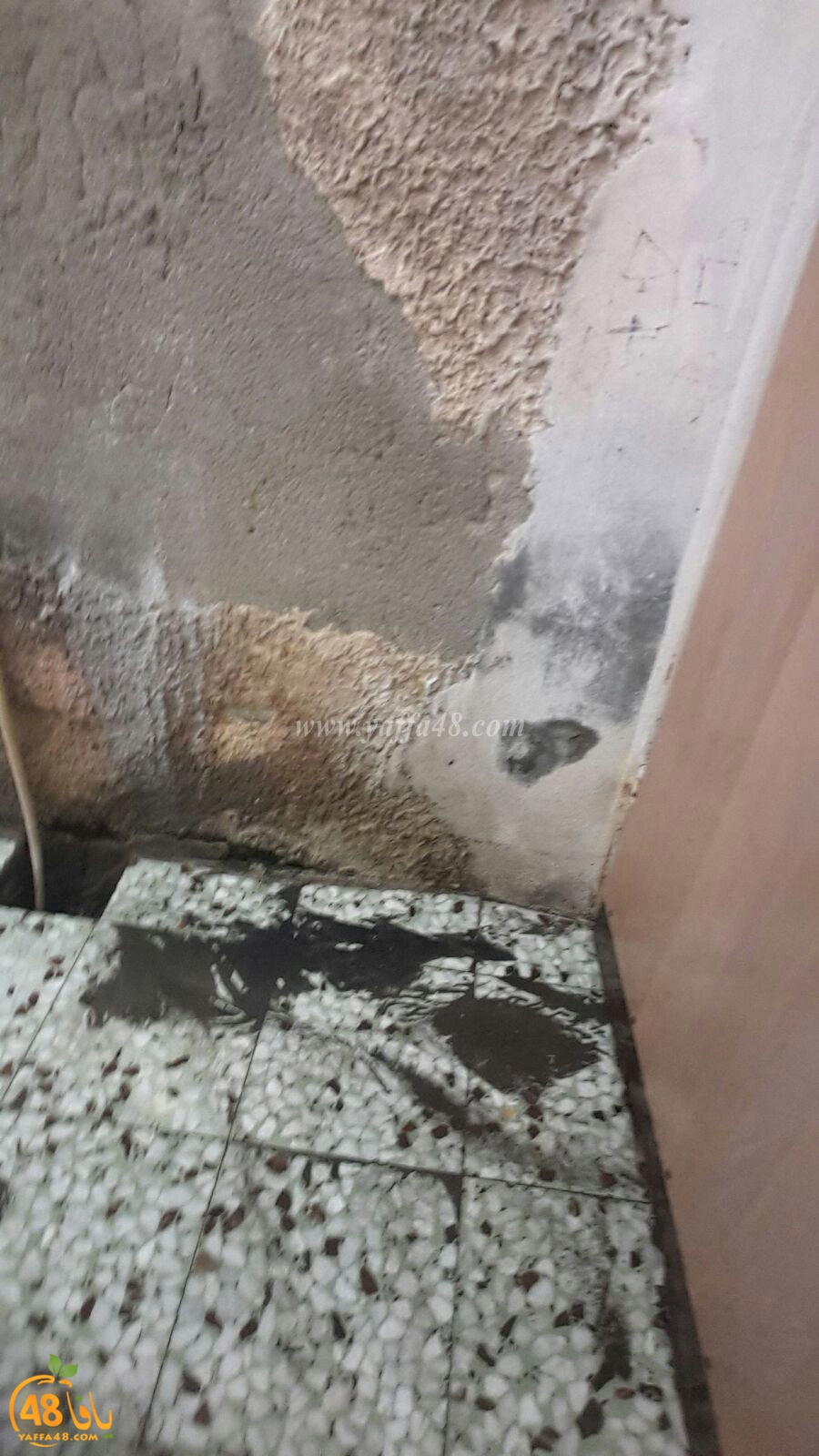 ramla majary (2).jpg